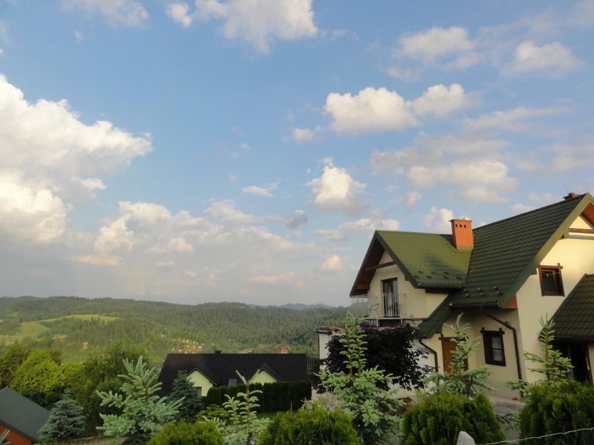 Villa Wilkowka Wolkowyja Exterior foto
